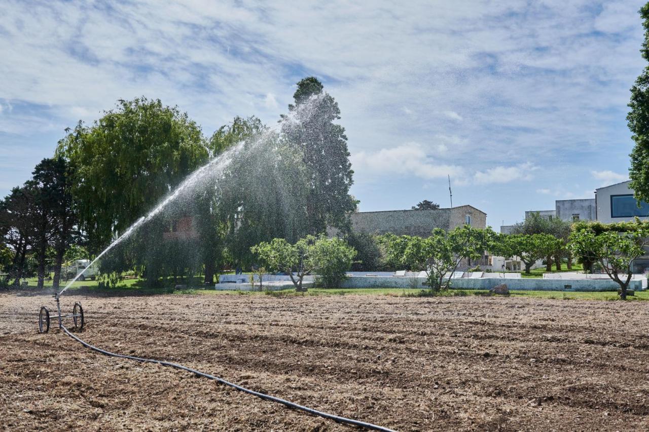 אלימיני Masseria Prosperi מראה חיצוני תמונה