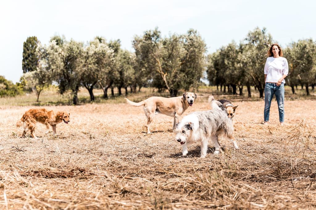 אלימיני Masseria Prosperi מראה חיצוני תמונה