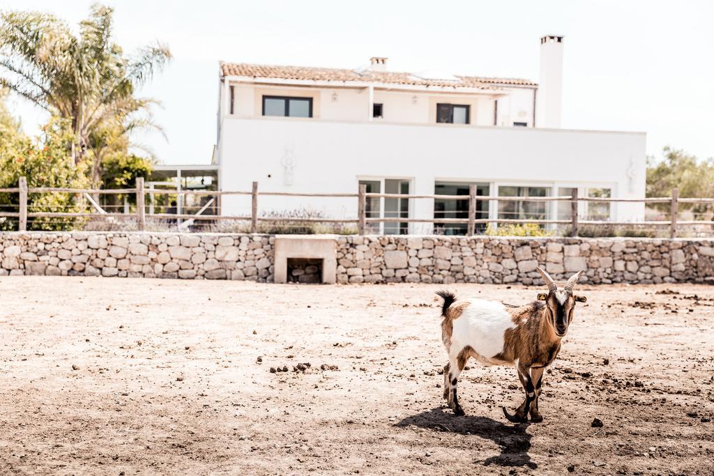 אלימיני Masseria Prosperi מראה חיצוני תמונה