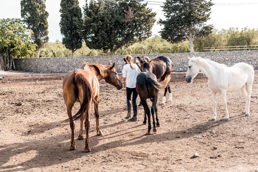 אלימיני Masseria Prosperi מראה חיצוני תמונה